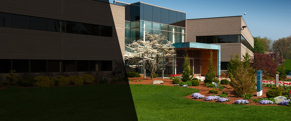 Winston Salem Landscapers