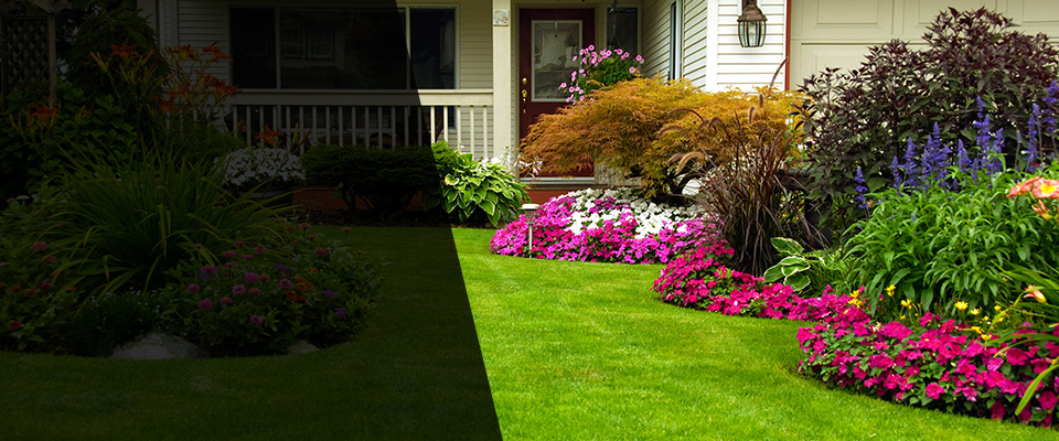 Winston Salem Landscapers