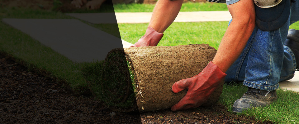 Winston Salem Landscapers